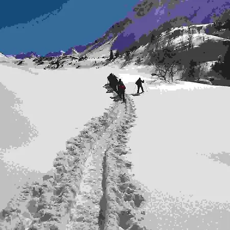 Haus Silberwang Apartamento Sankt Gallenkirch