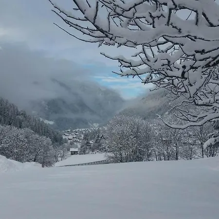 Lejlighed Haus Silberwang