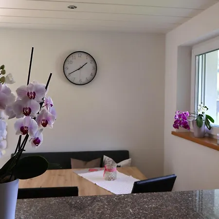 Haus Silberwang Lejlighed *